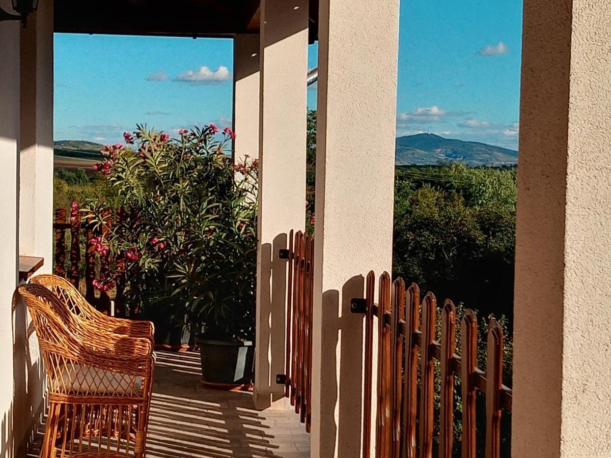 Tokaj Hill Panorama Guesthouse Szerencs Exteriör bild