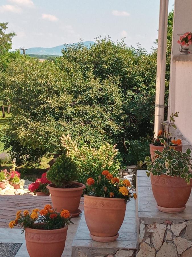 Tokaj Hill Panorama Guesthouse Szerencs Exteriör bild