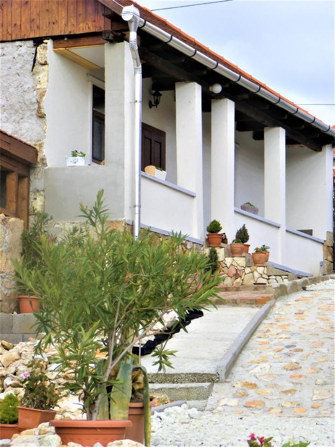 Tokaj Hill Panorama Guesthouse Szerencs Exteriör bild