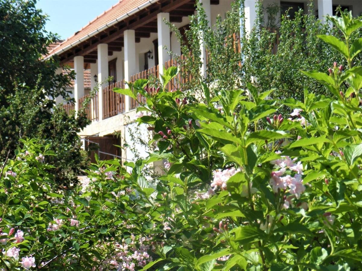 Tokaj Hill Panorama Guesthouse Szerencs Exteriör bild