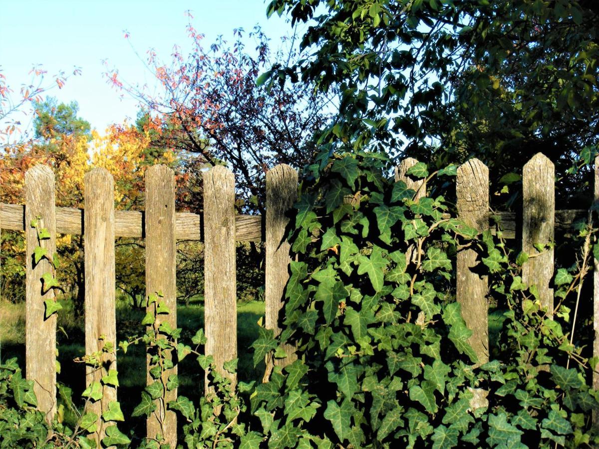Tokaj Hill Panorama Guesthouse Szerencs Exteriör bild